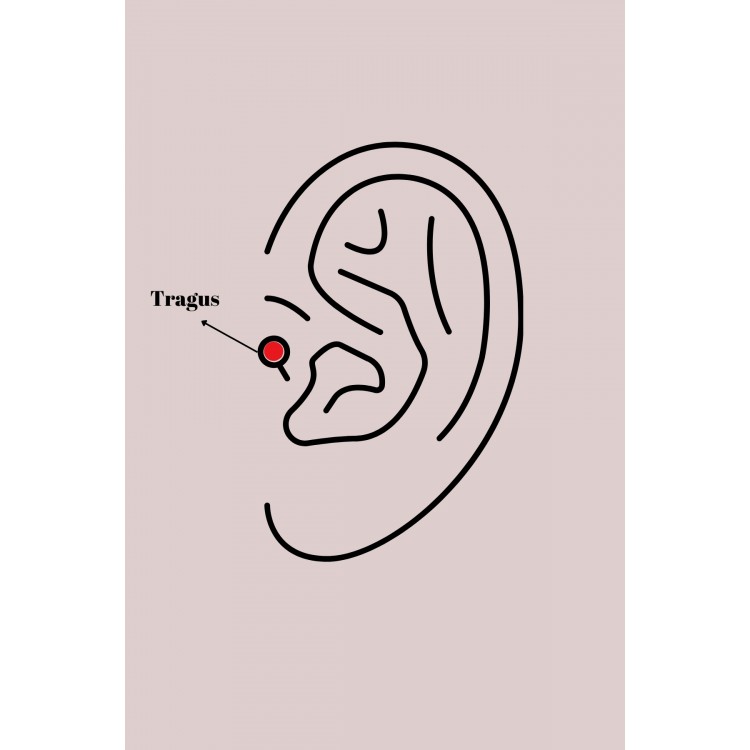 316L Steel Silver Color Zircon Stone Polar Star Model Tragus Piercing - TJ-PR1301