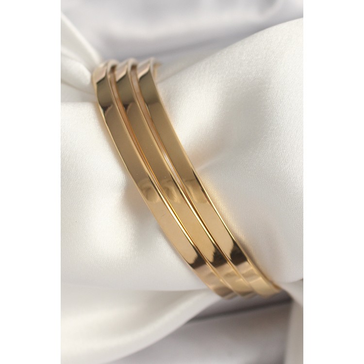 316L Steel Gold Color Ajda Model Women's Bracelet - TJ-BB6593