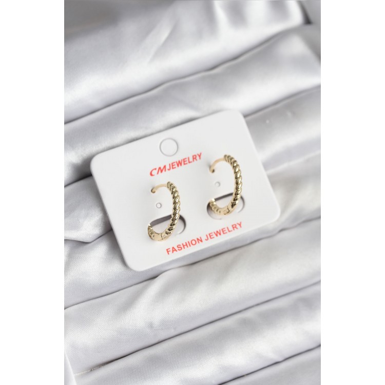 14K Gold-Plated Twist Hoop Earrings for Women - TJ-BKP11423