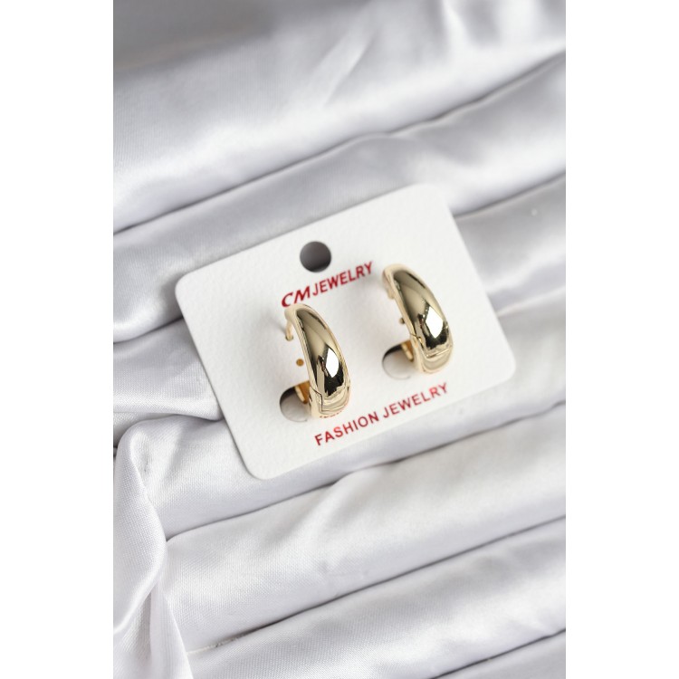 14K Gold-Plated Hoop Earrings for Women - TJ-BKP11426