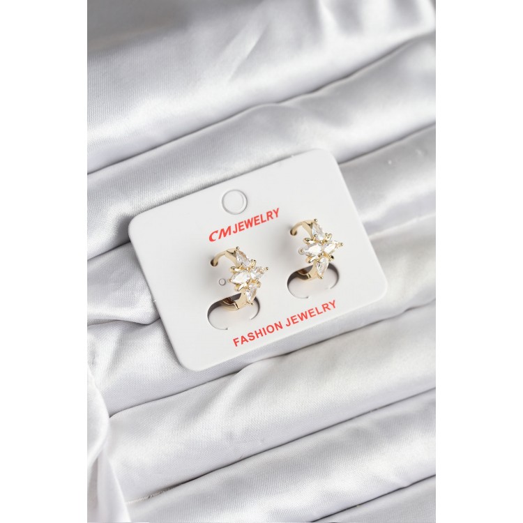 14K Gold-Plated North Star Zircon Stone CM Women's Earrings - TJ-BKP11427