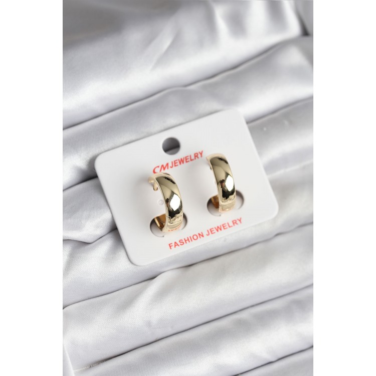 14K Gold-Plated Hoop Earrings for Women - TJ-BKP11430