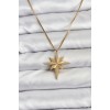 316L Steel Chain Gold Color North Star Model 60 cm Chain Women's Necklace - TJ-BKO10759