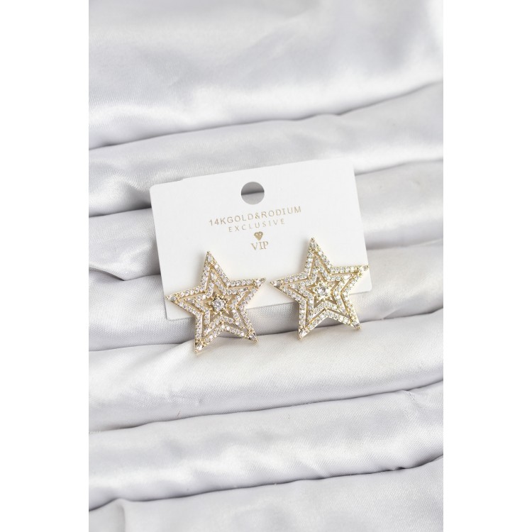 Gold-Colored Brass Zircon Stone Star Model Women's Earrings - TJ-BKP11514