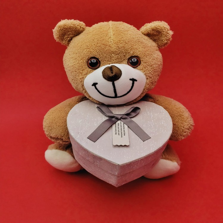 Kutulu Ayıcık Kutulu Ayıcık