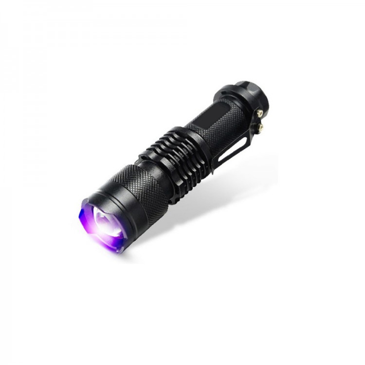 Wt-303 Mini Currency Display EL Flashlight