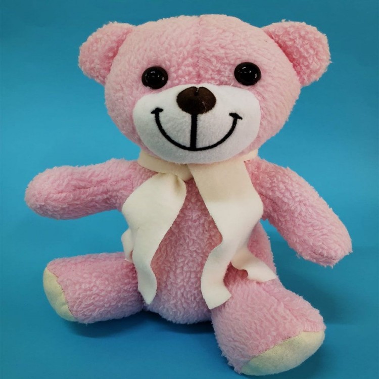 Pink Plush Toy Bear