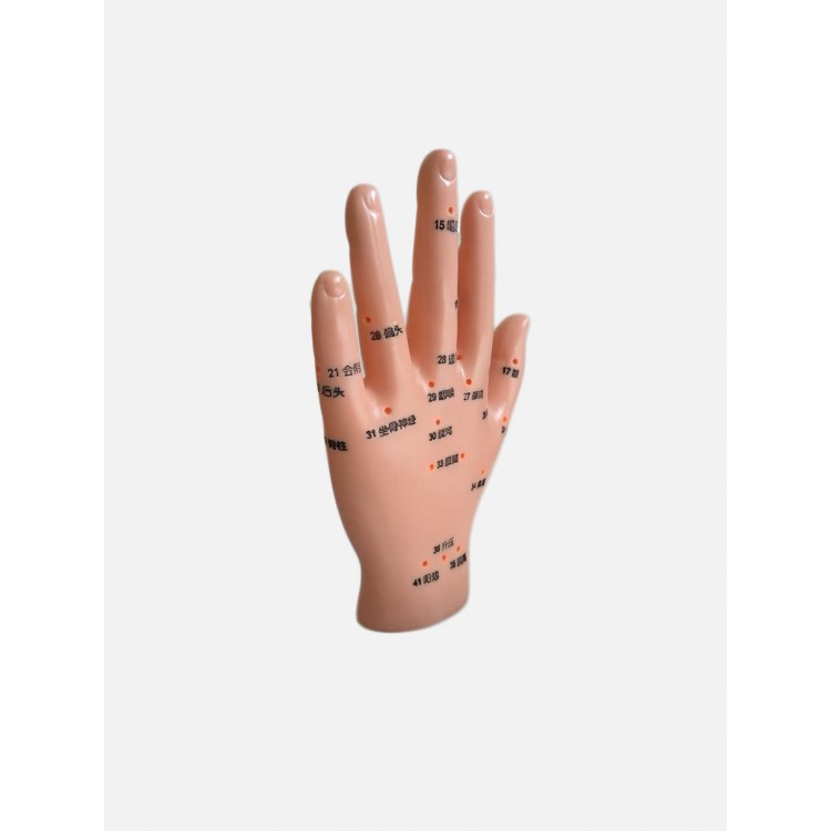 Hand Model Acupuncture Points TGNR-835