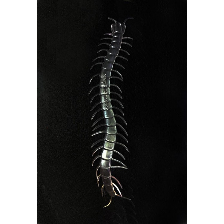 Transparent Color Glow-in-the-Dark Phosphorescent Centipede 13 cm 1 Piece