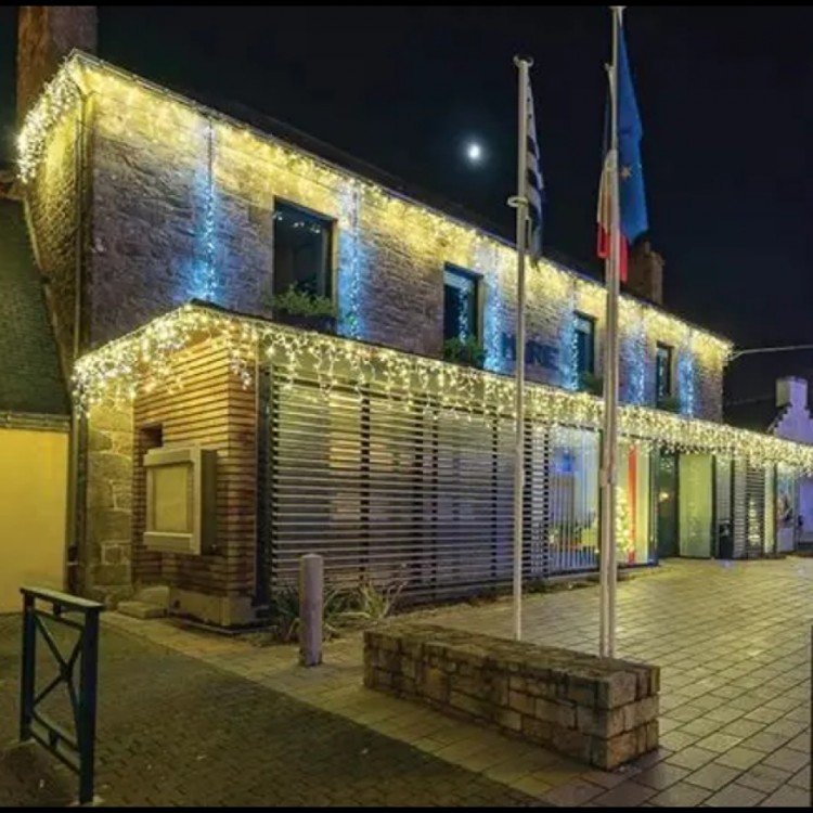 4 M 120 LED 20-Pronged 50 x 70 x 90 cm Flashing