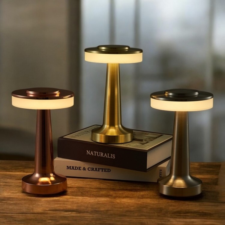 Decorative LED Table Lamp MZ-600 1 Piece