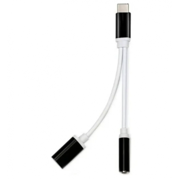 ZR310 Ft Ac 20 Type-C 2 In 1 Converter ZR310 Ft Ac 20 Type-C 2 In 1 Converter