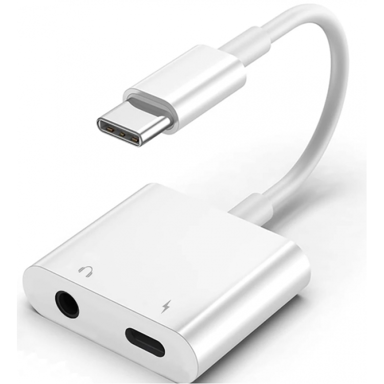 ZR733 Gl054-1 Type-C Aux Şarj Çevirici