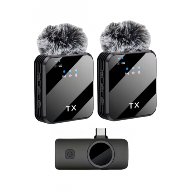 ZR1027 F12 Type-C İkili Mikrofon ZR1027 F12 Type-C İkili Mikrofon