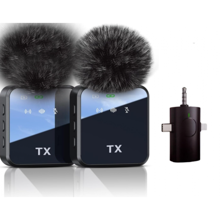 ZR983 F11-2 Kablosuz Çiftli Çok Girişli Mikrofon