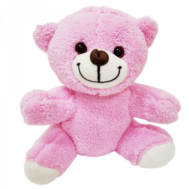 Cute Pink Plush Bear