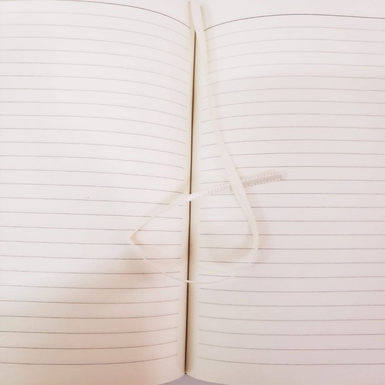 Gift Metal Pen and Lined Leather Notebook