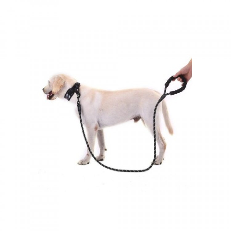 Reflective Dog Collar 130 Cm.