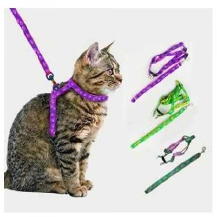 Pet Cat Collar