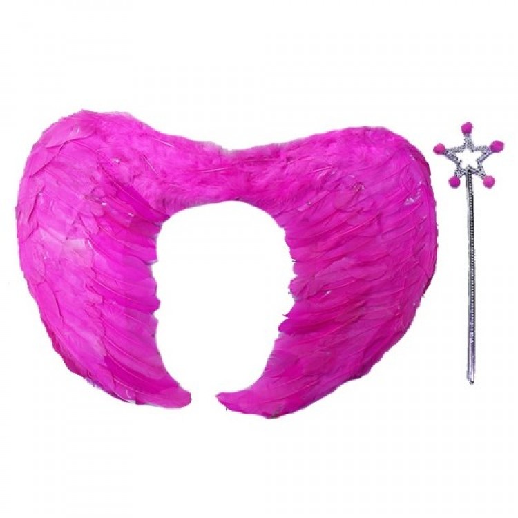 Foldable Angel Wing Set with Real Feathers