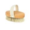 Horsehair Clothes Brush