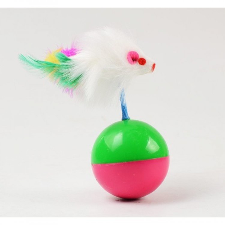 Cat Play Ball Mouse Hacı Does Not Sleep Cat Play Ball Mouse Hacı Does Not Sleep