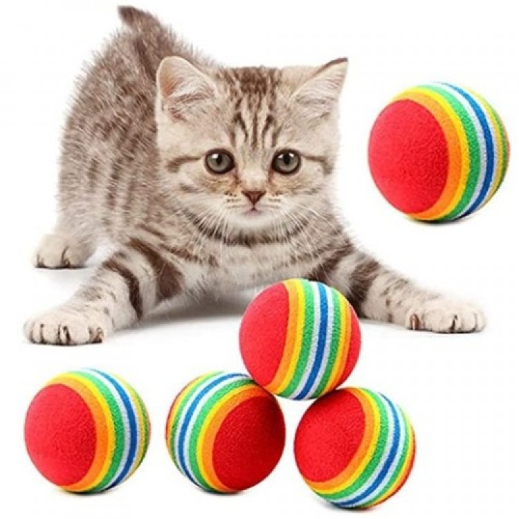 RAINBOW COLORED CAT AND DOG TOY BALL