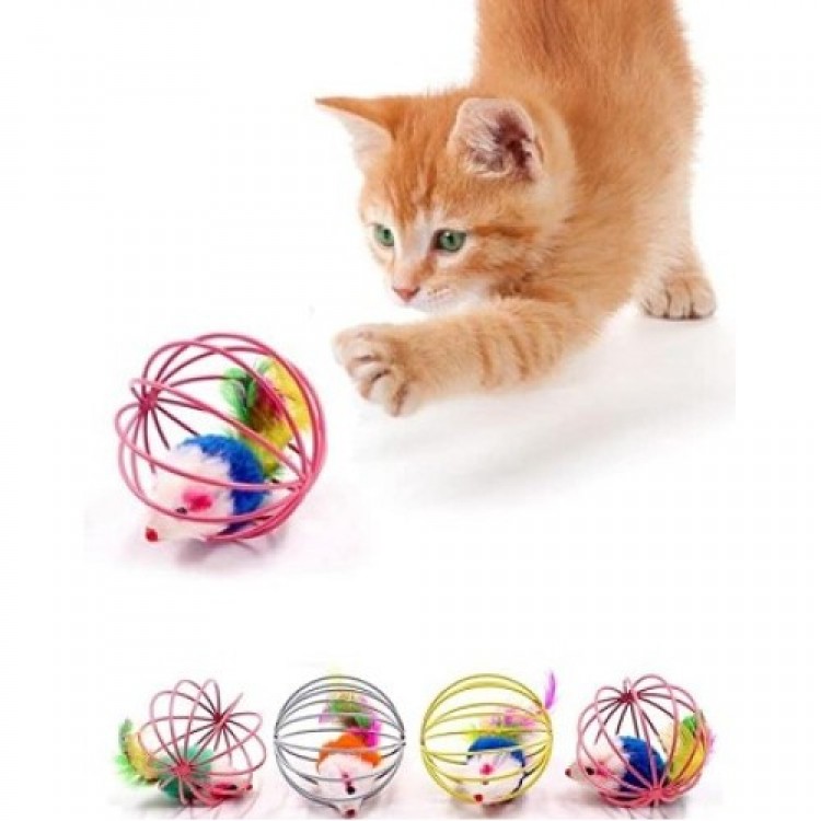 Cage Mouse Cat Dog Play Ball Cage Mouse Cat Dog Play Ball