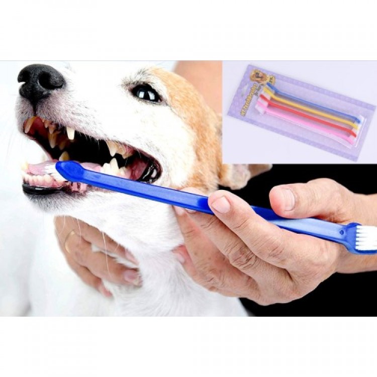 DOUBLE-SIDED ANIMAL TOOTHBRUSH SET OF 4