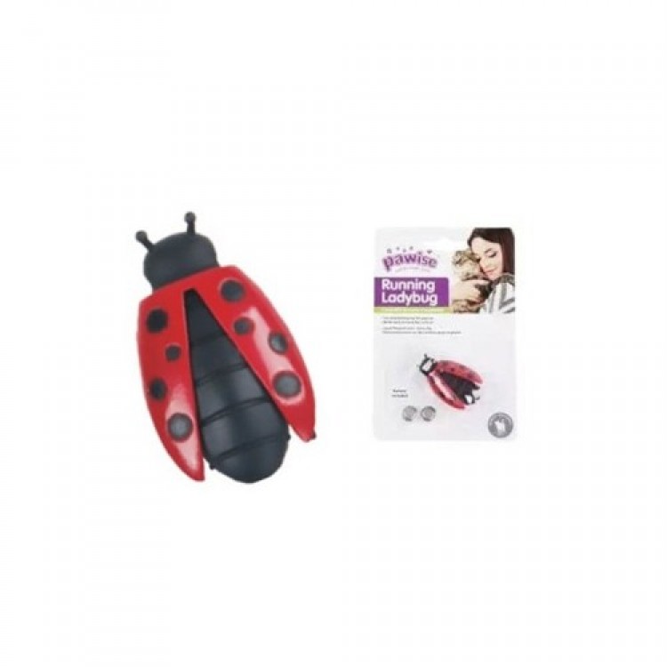 Ladybug Animated Cat Toy