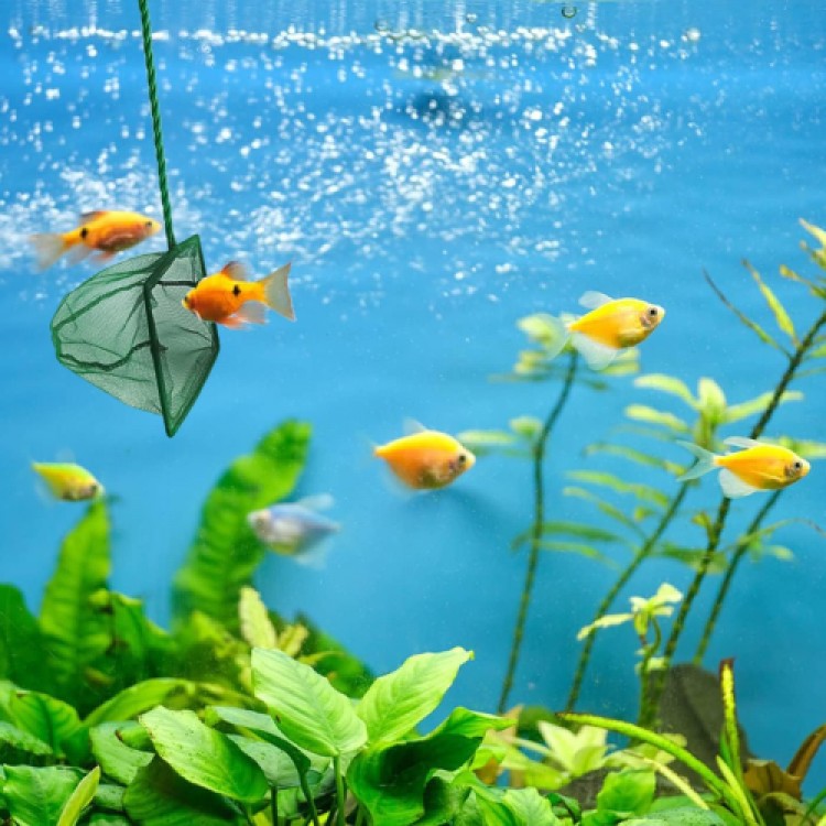 Car Interior Atmosphere Neon Wire - Araç İçi İp Neon Şerit Aydınlatma