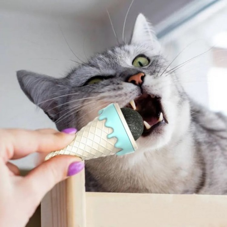 CAT MINT IN ICE CREAM FORM CAT MINT IN ICE CREAM FORM