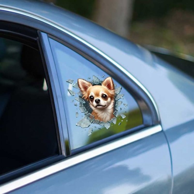 Fulcar Chihuahua Car Sticker