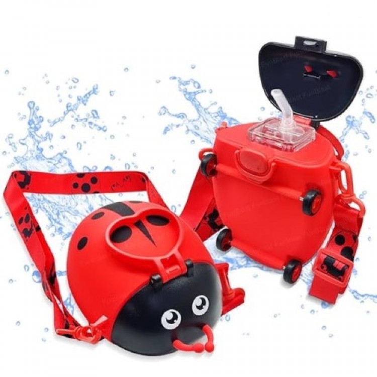 Ladybug Water Bottle