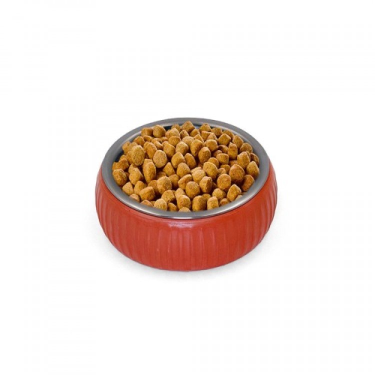 Mikopet Organic Ceramic Food Bowl Tile