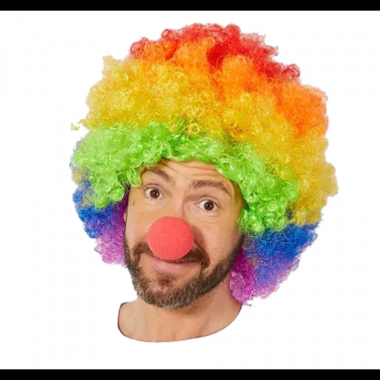 Rainbow Afro Wig and Red Sponge Nose