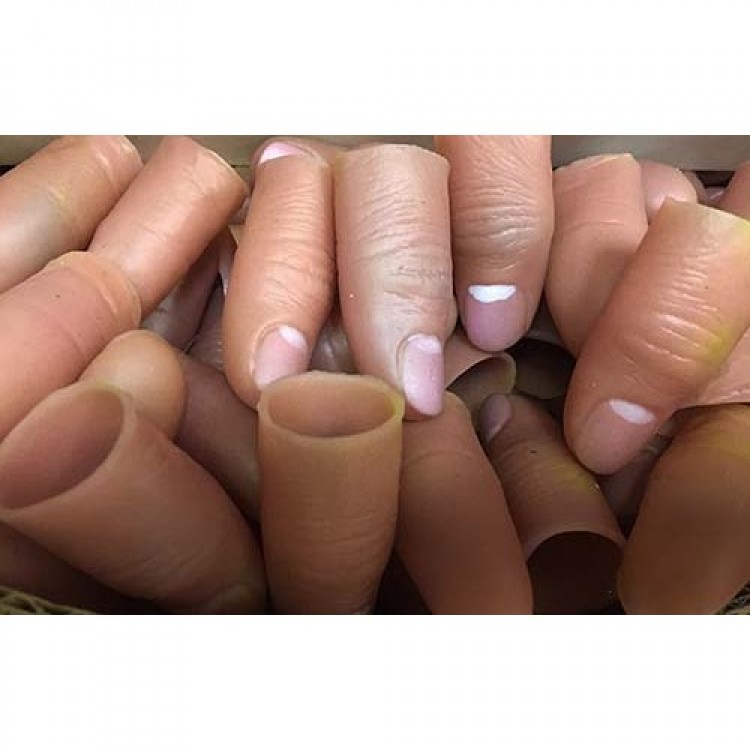 Cut Finger - Joke Finger - Cut Finger Joke 1 Piece Cut Finger - Joke Finger - Cut Finger Joke 1 Piece