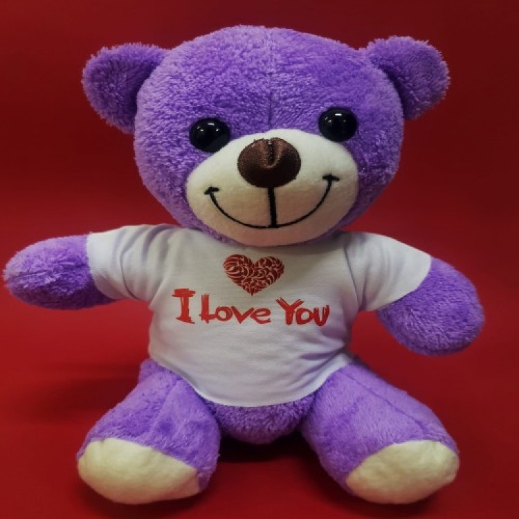 Purple Bear in a T-Shirt