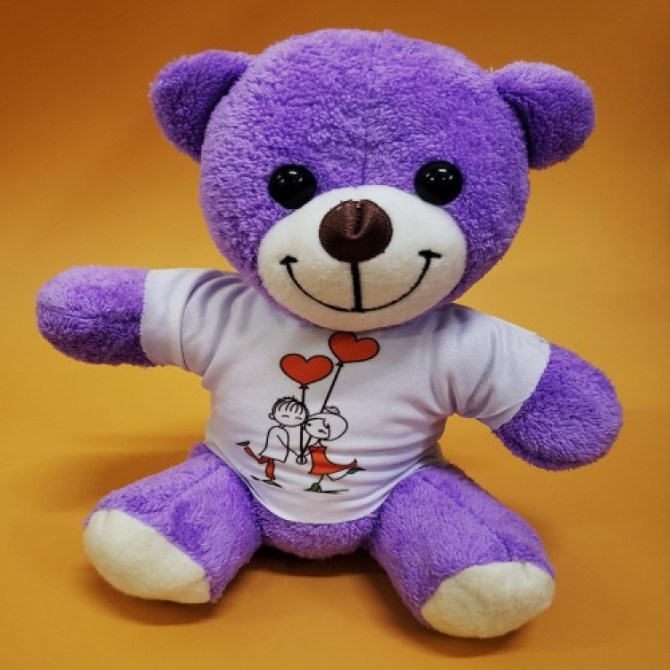 Plush Toy Bear in a T-Shirt Plush Toy Bear in a T-Shirt