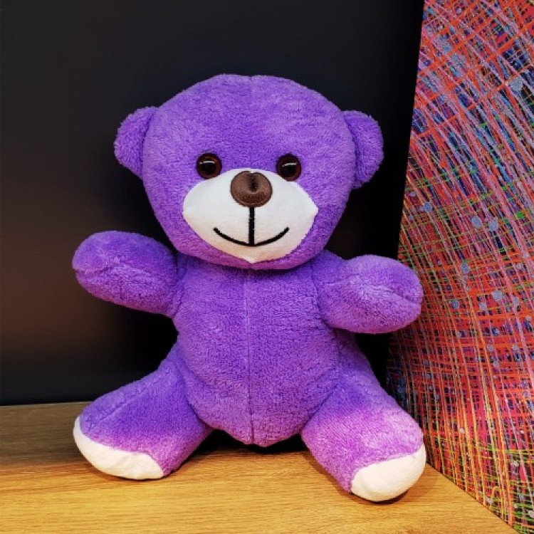 Plush Toy Bear Plush Toy Bear