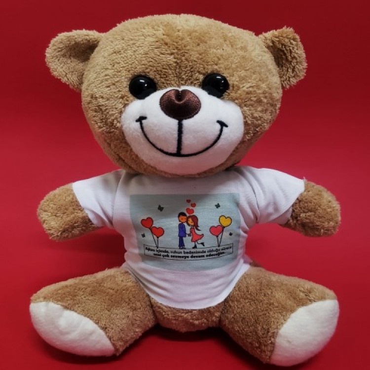 Brown Plush Bear with T-Shirt