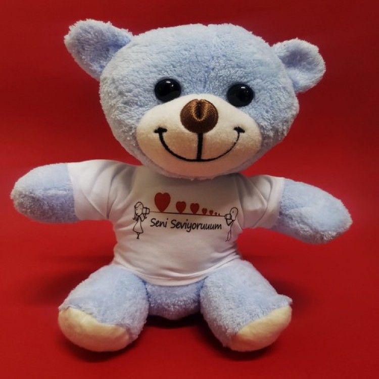I Love You T-Shirt Wearing Teddy Bear