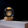 Dandelion-Themed Illuminated Glass Globe