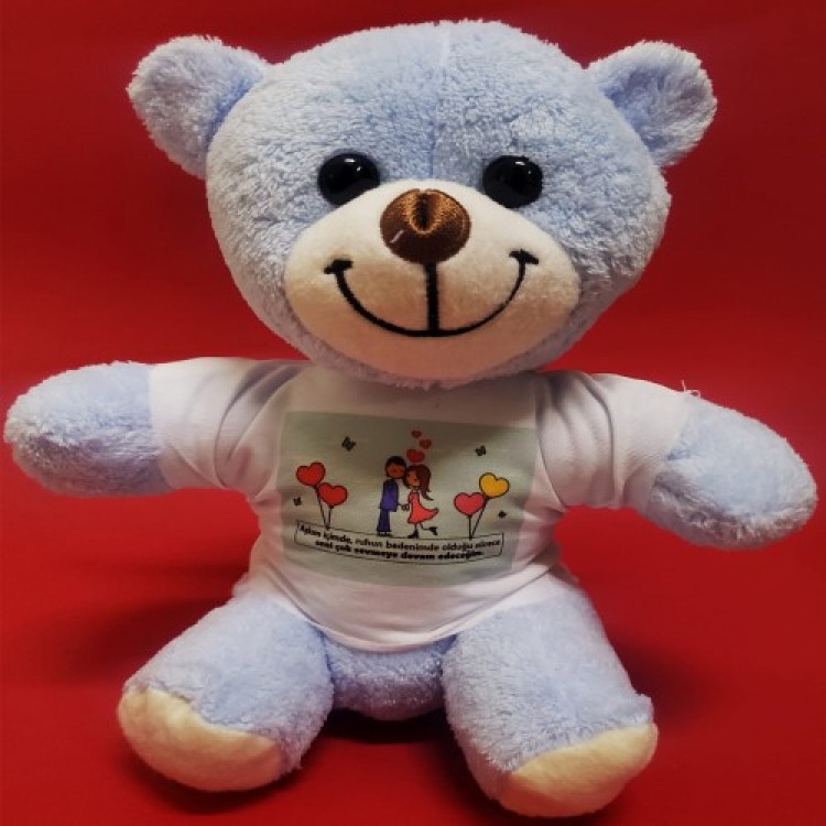 Blue Bear in a T-shirt