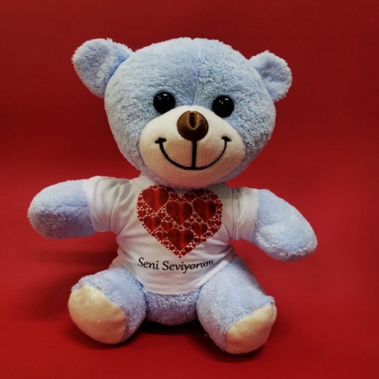 I Love You T-Shirt Wearing Bear