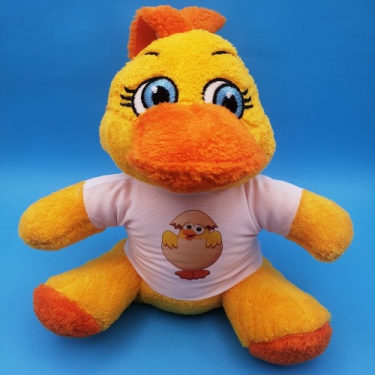 Toy Chicken with T-Shirt