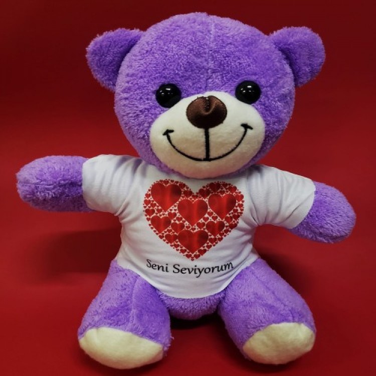 Plush Bear with "I Love You" Printed T-Shirt Plush Bear with "I Love You" Printed T-Shirt