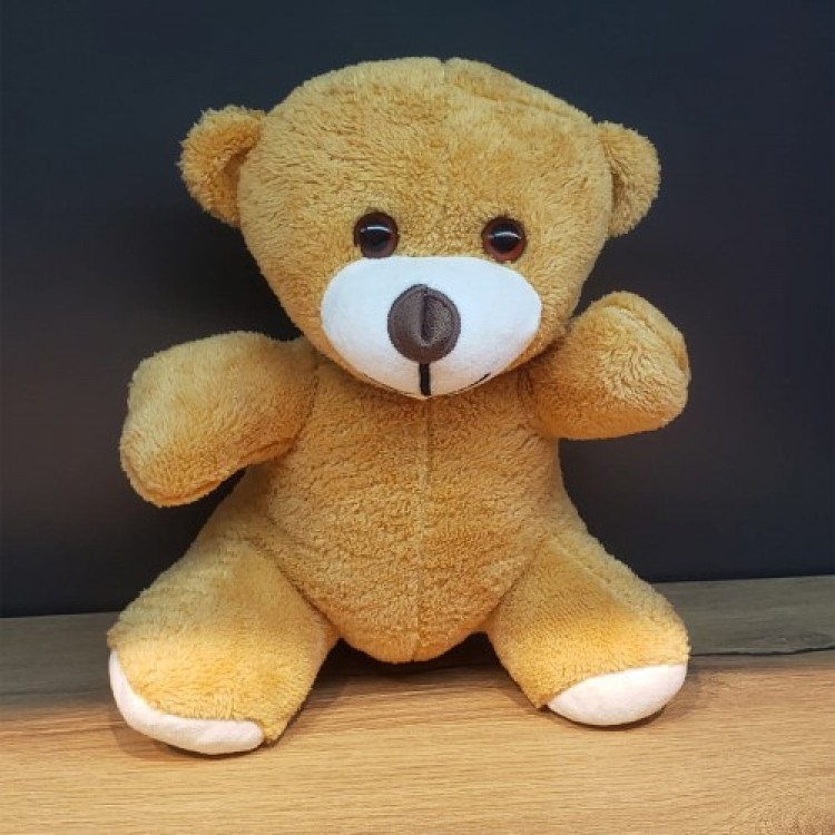 Brown Plush Toy Bear