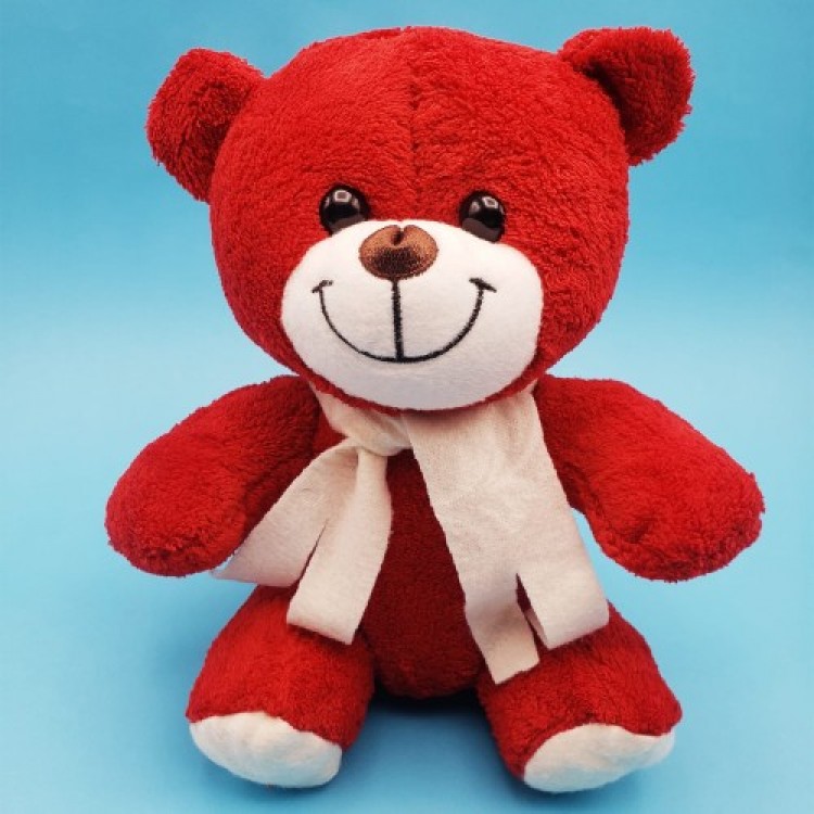 Red Plush Toy Bear