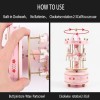 Carousel Music Box